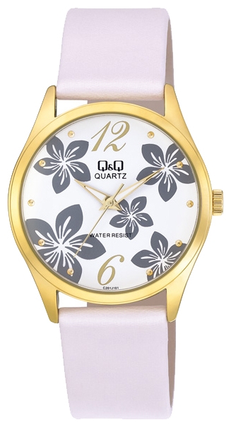 QQ C201-101